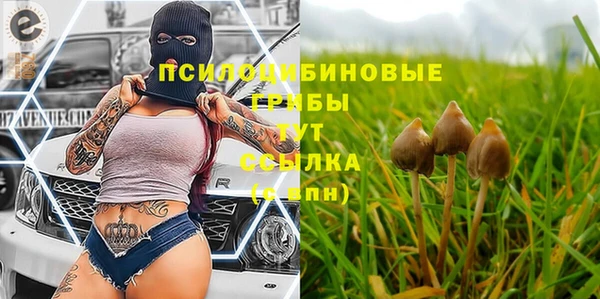 прущая мука Бронницы